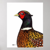 Pheasant:  Ringneck Head Poster