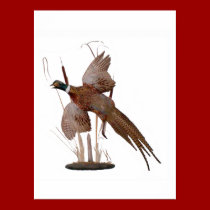 Pheasent Design posters