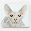 phenix mousepads