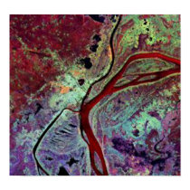 phenom phen satellite imagery posters