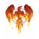 Pheonix.Flame t-shirts