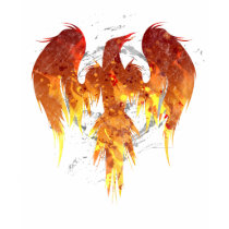 Pheonix.Flame t-shirts