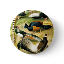 phesants buttons