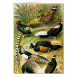 phesants card