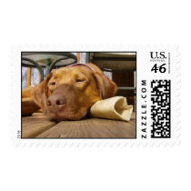 Phew I am pooped! stamps