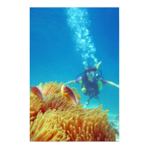 Phi Phi Island (LC) posters by L_Cashen Phi Phi Island (LC) posters