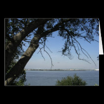 Philadelphia Through the Trees cards by Firecrackinmama Philadelphia Through the Trees cards