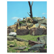 Philadelphia Zoo flyers by BrianLemburg Philadelphia Zoo flyers