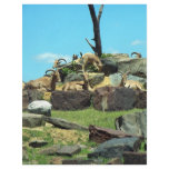 Philadelphia Zoo Flyer