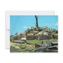 Philadelphia Zoo invitations by BrianLemburg Philadelphia Zoo invitations