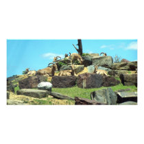 Philadelphia Zoo photo cards