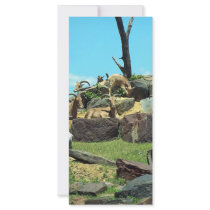 Philadelphia Zoo rack cards by BrianLemburg Philadelphia Zoo rack cards