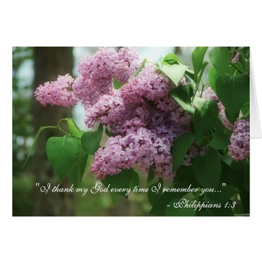Philippians 13 Mother's Day Lilacs Card Zazzle