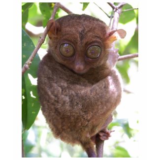 Philippine Tarsier shirt