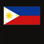 Philippines Flag Map Spaghetti Top