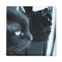 Philosophical Black Cats Magnets