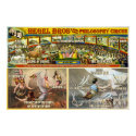 Philosophy Circus posters