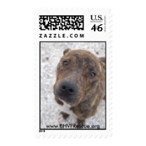 Phinneas Stamps