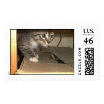 Phinny Kat Explores postage by vivykat Phinny Kat Explores postage