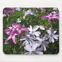 Phlox Alfombrillas De Raton
