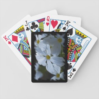 Phlox Black Edge Playing Cards