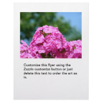 Phlox flowers beautiful summer photo pink purple flyers
