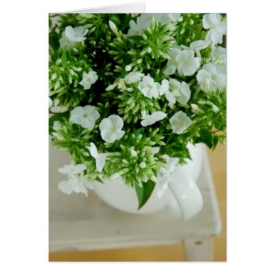 Phlox Flowers Greeting Cards by MeetaA