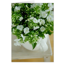 Phlox Flowers cards by MeetaA Phlox Flowers cards