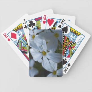 Phlox Playing Cards