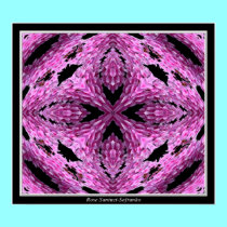 "Phlox Warp" Print by Artists4God "Phlox Warp" Print