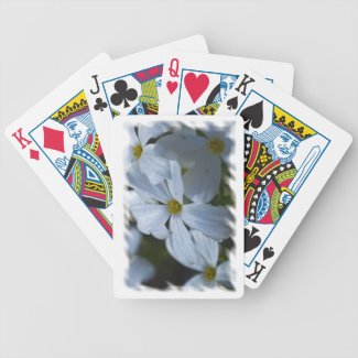 Phlox White Edge Card Deck