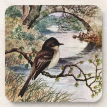 Phoebe and Stone Bridge Over Creek Drink Coasters