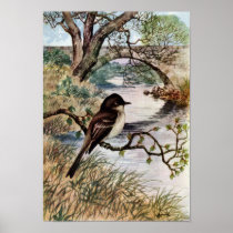 Phoebe and Stone Bridge Over Creek Print