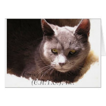 Phoebe Notecards
