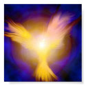 Phoenix Angel posters by troyw Phoenix Angel posters