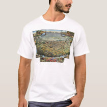 Phoenix, Arizona - 1885 t-shirts