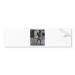 PHOENIX ARIZONA 7 BUMPER STICKER