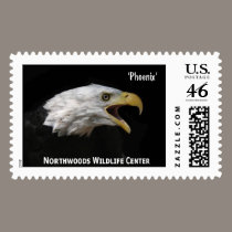 'Phoenix' Bald Eagle (2) stamps