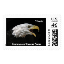 'Phoenix' Bald Eagle (2) postage