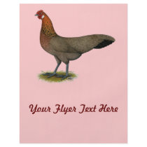 Phoenix:  BB Red Hen Flyer Design