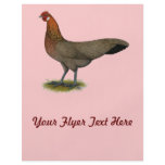 Phoenix:  BB Red Hen flyers