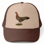 Phoenix:  BB Red Hen hats