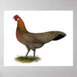 Phoenix:  BB Red Hen posters