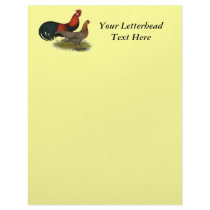 Phoenix:  BB Red Pair Letterhead Design
