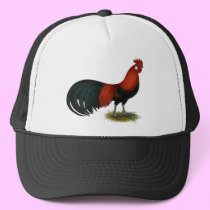 Phoenix:  BB Red Rooster hats