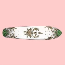 "Phoenix" Board skateboards