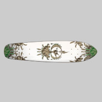 "Phoenix" Board skateboards