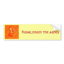 Phoenix bumper stickers