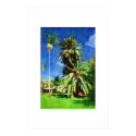 Phoenix canariensis palm tree, Oil painting posters