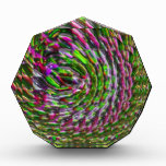 Phoenix Coil Acrylic Award